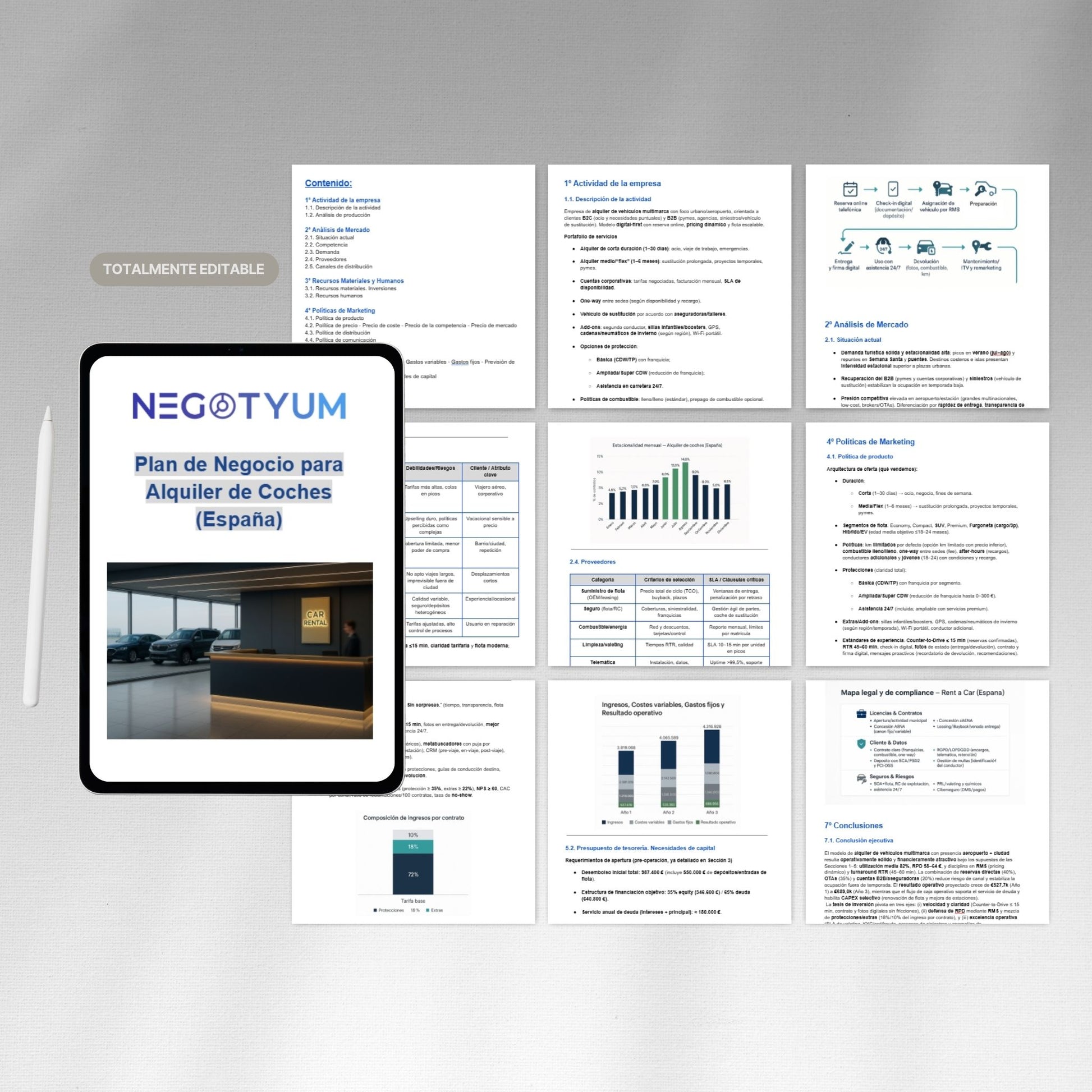 Alquiler de Coches - Plan de Negocio