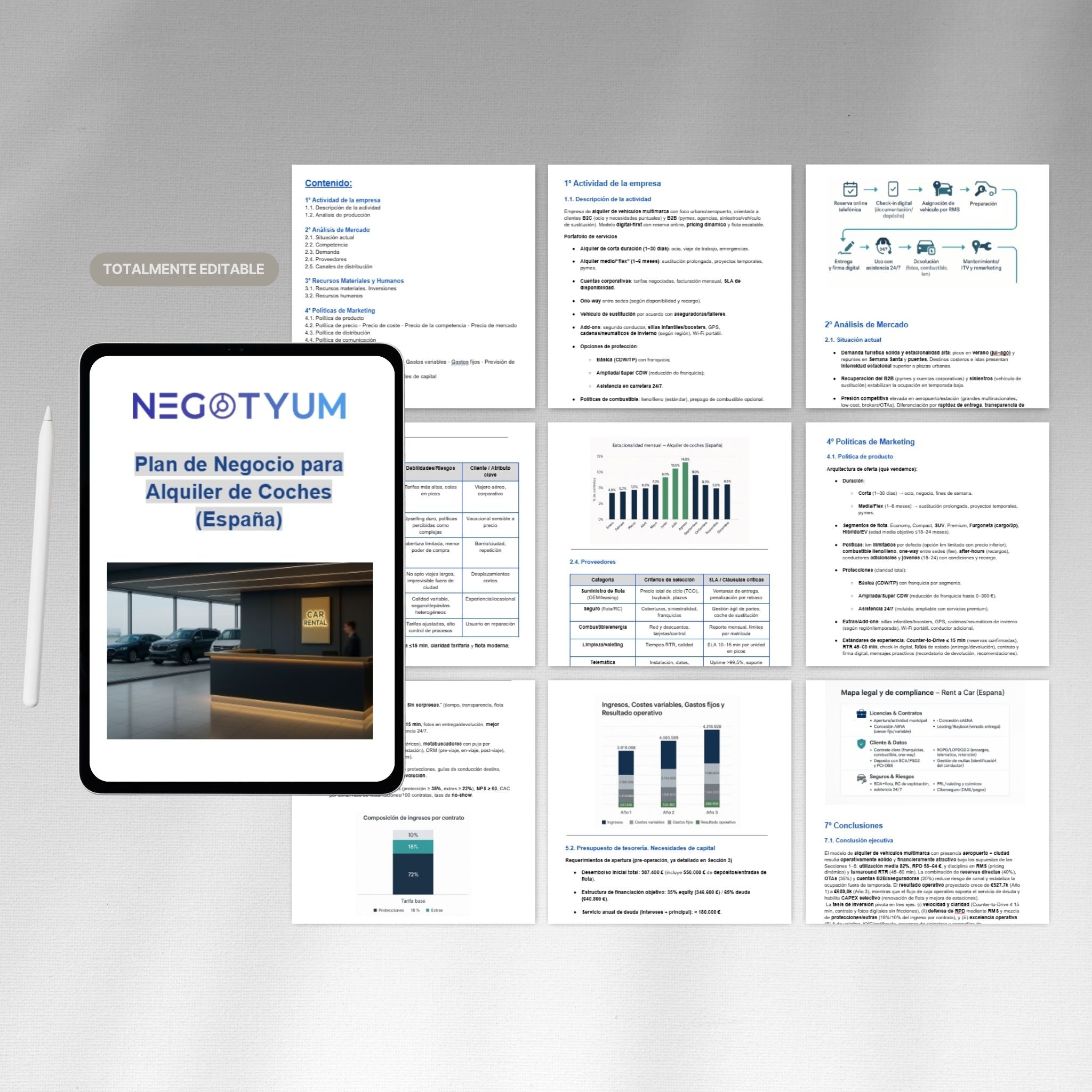 Alquiler de Coches - Plan de Negocio