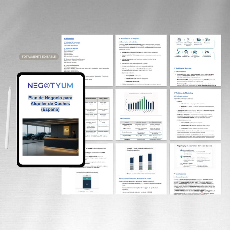 Alquiler de Coches - Plan de Negocio