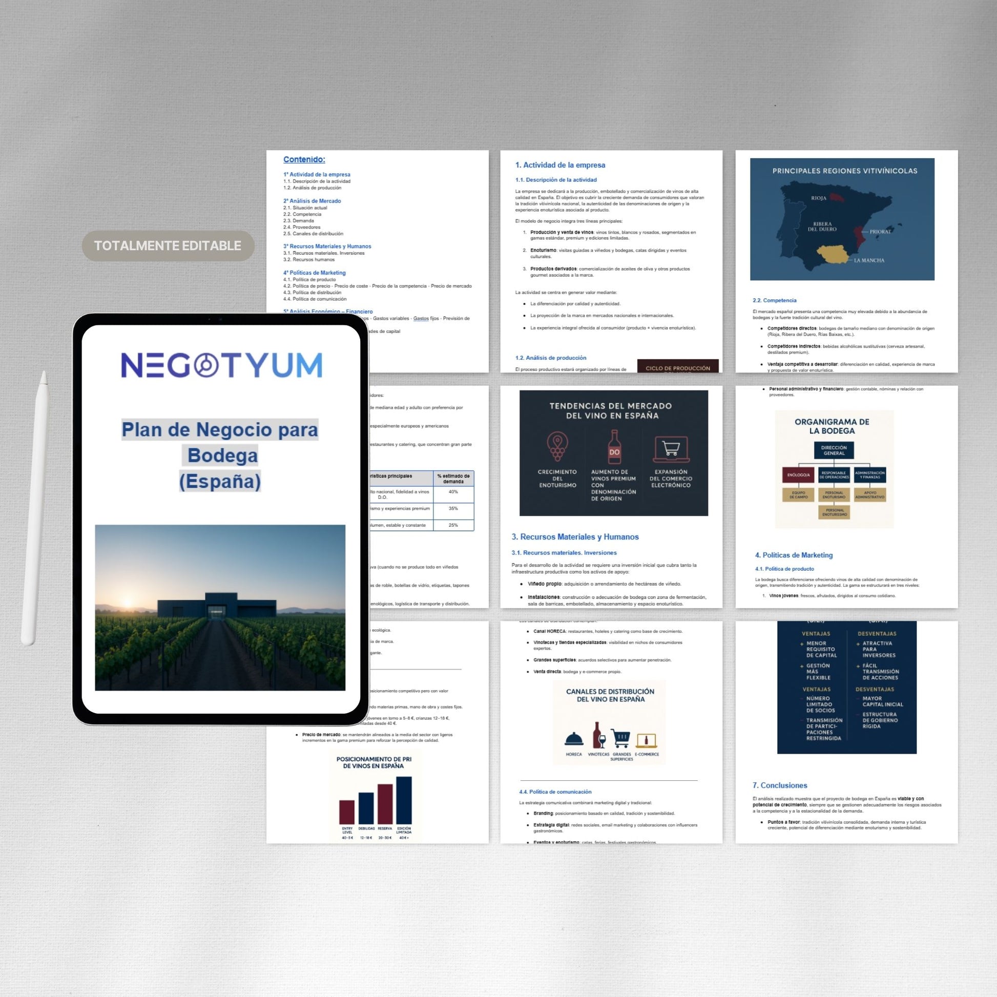 Bodega - Plan de Negocio