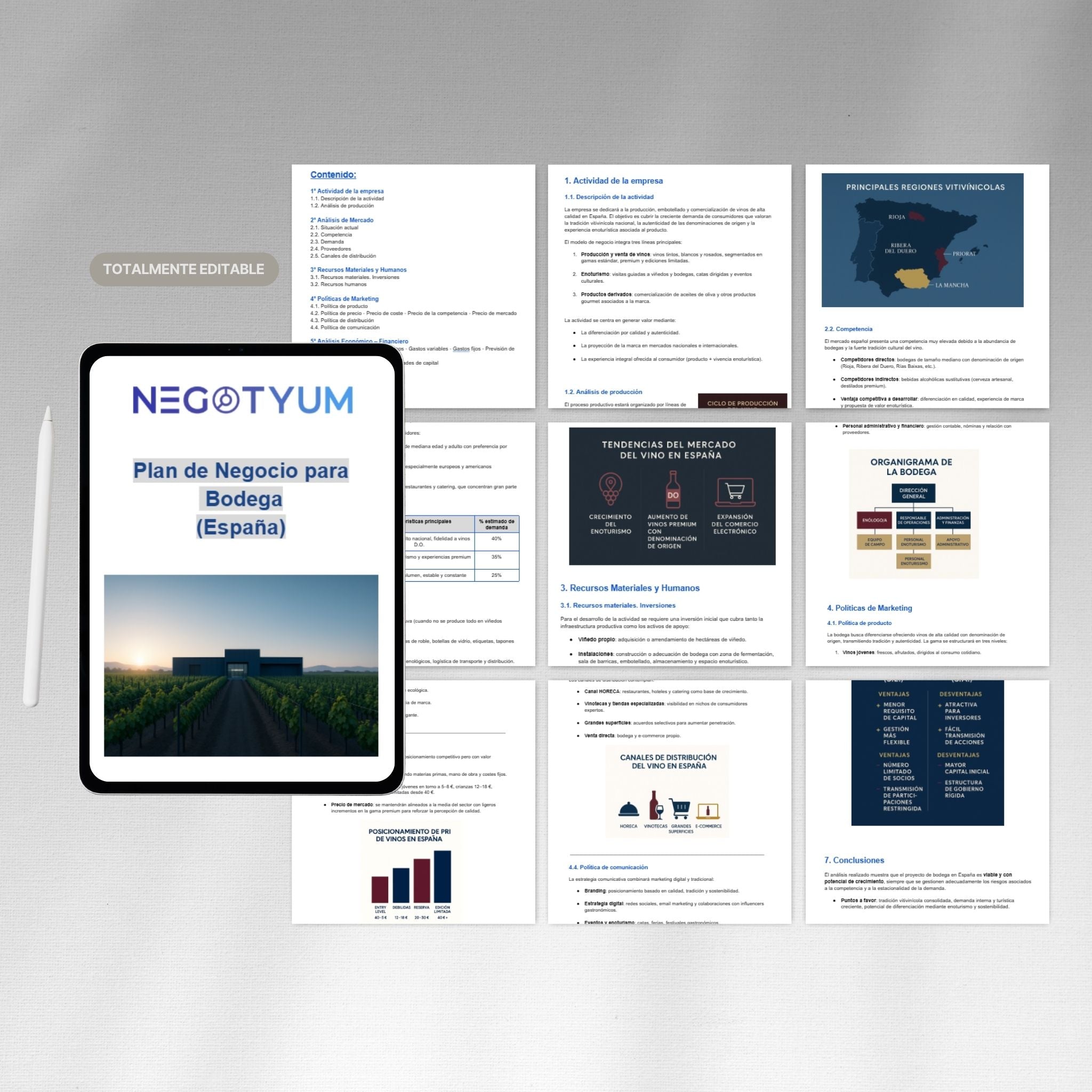 Bodega - Plan de Negocio