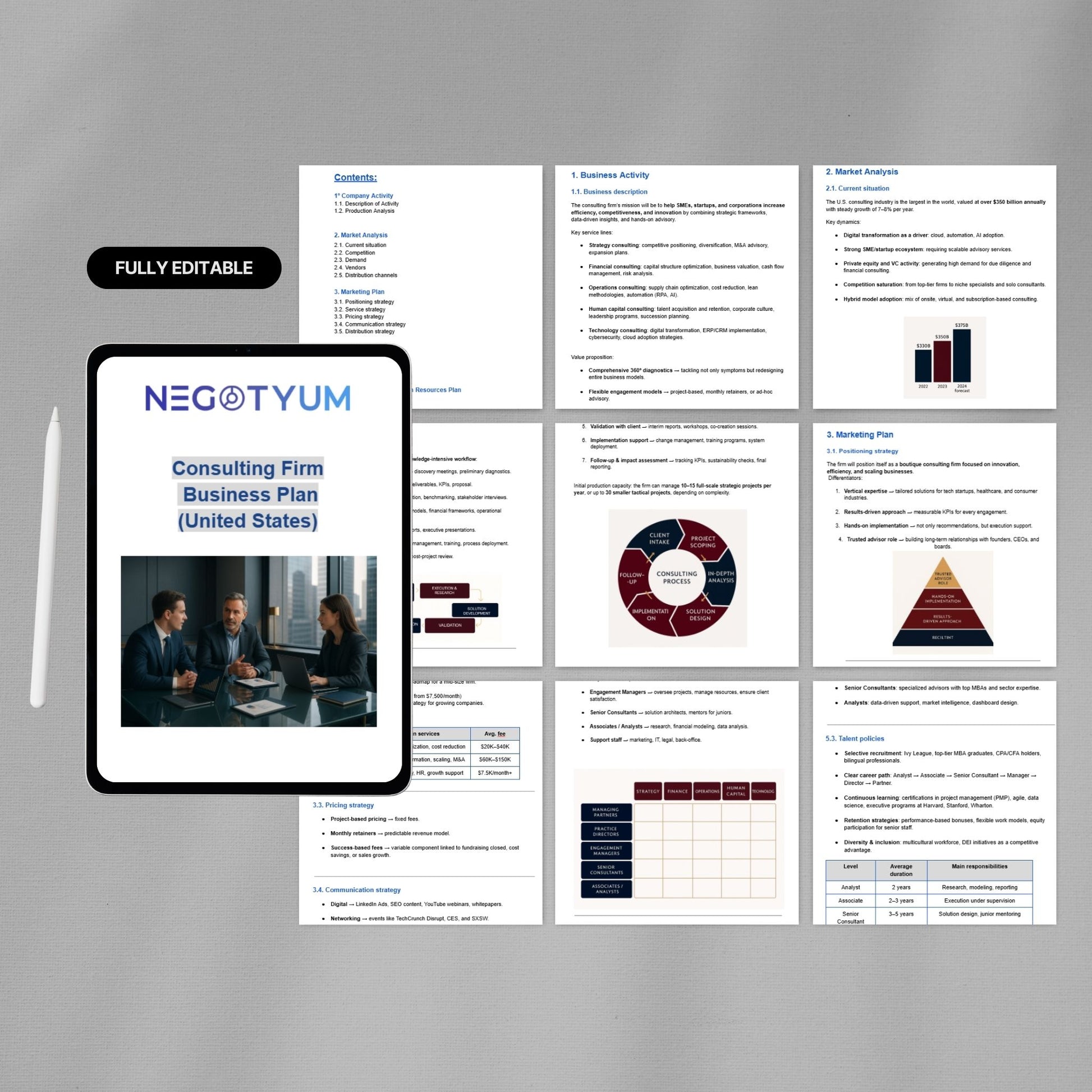 Consulting Firm Business Plan Template – Editable Word & Excel
