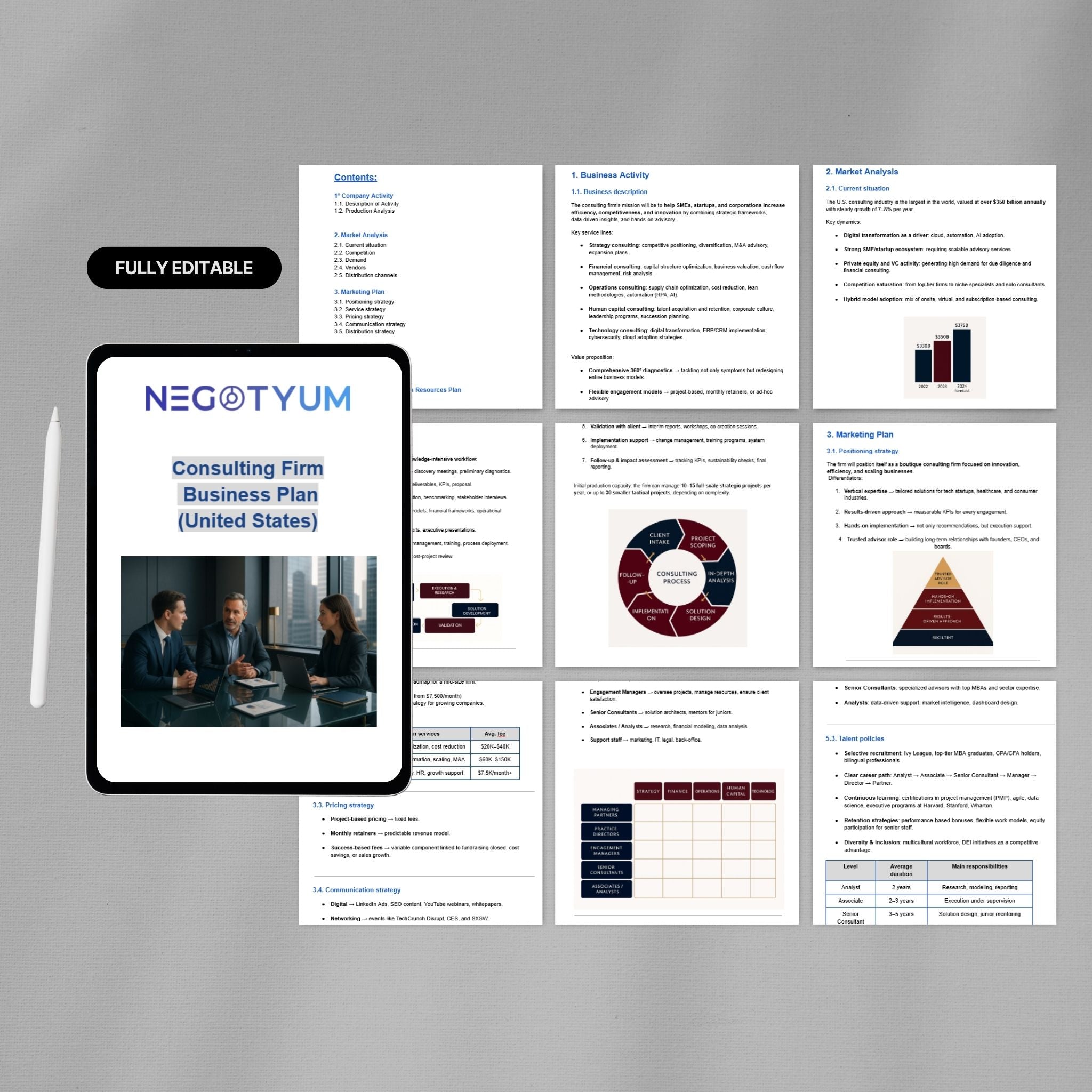 Consulting Firm Business Plan Template – Editable Word & Excel