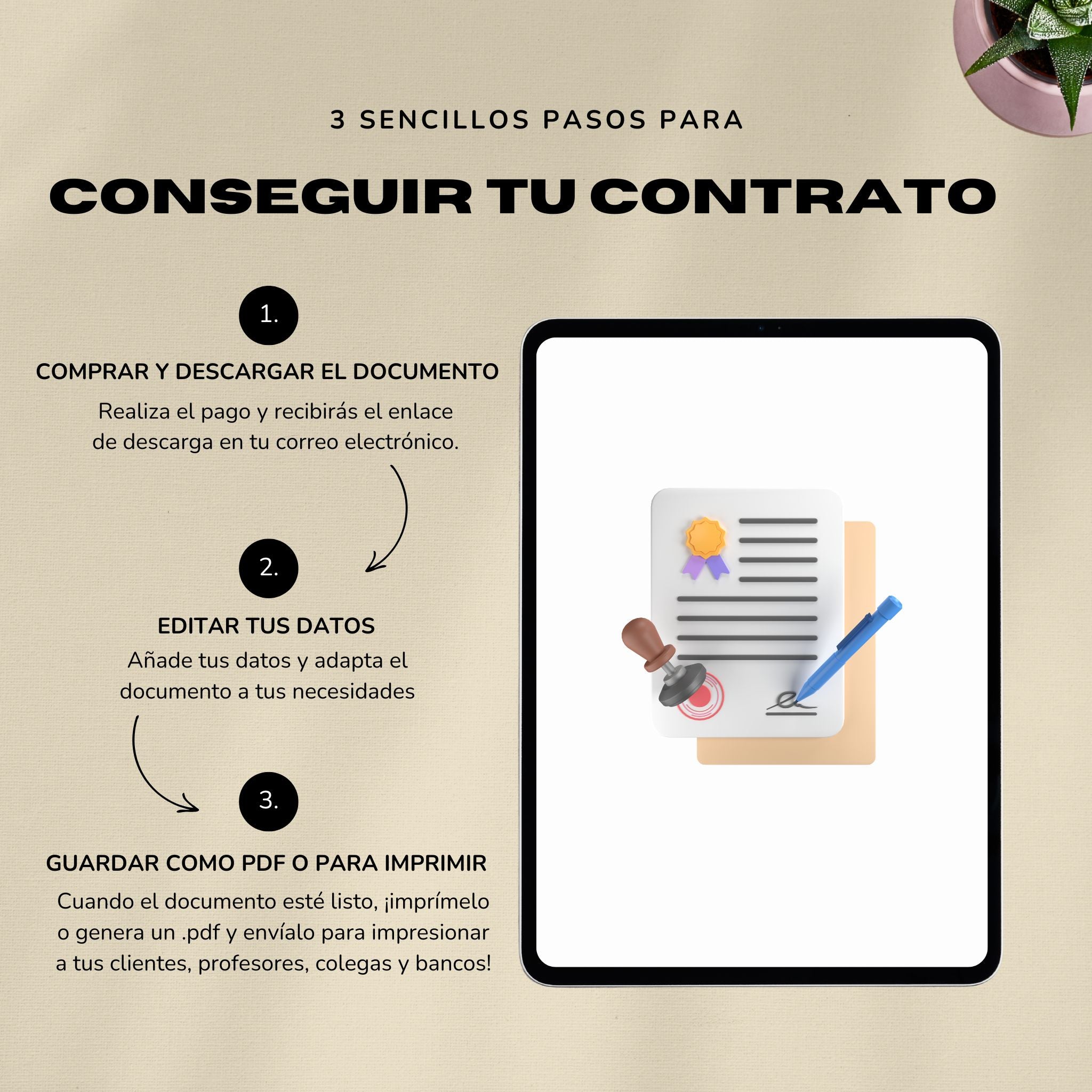 Contrato de Distribución – Plantilla Editable en Word