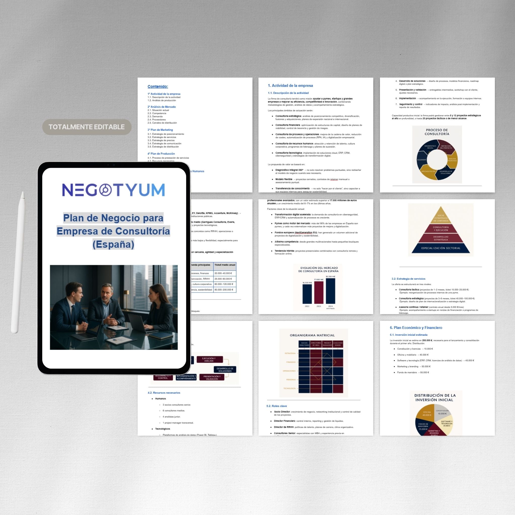 Empresa de Consultoría - Plan de Negocio