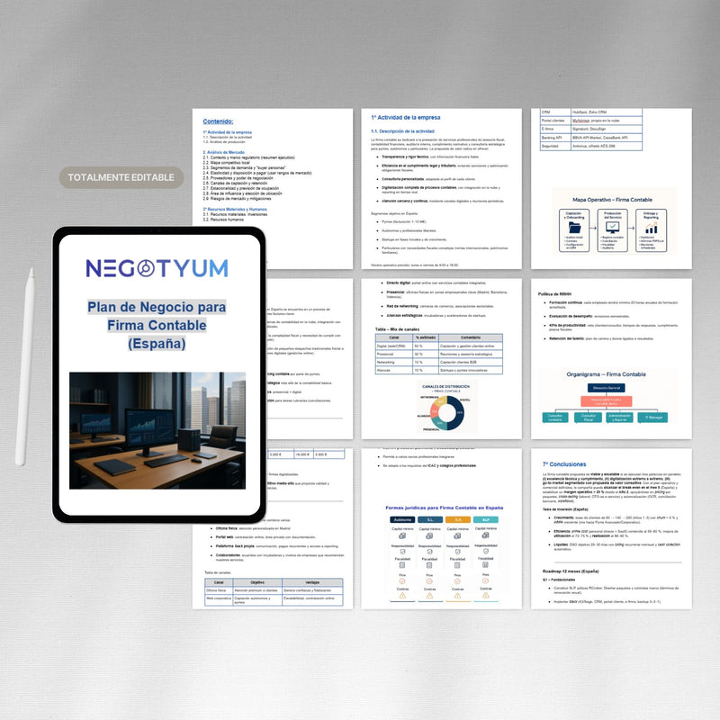 Firma Contable - Plan de Negocio