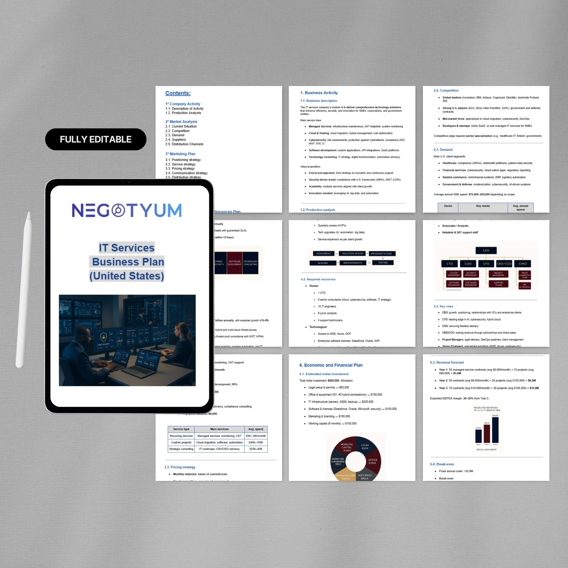 IT Services Business Plan Template – Editable Word & Excel