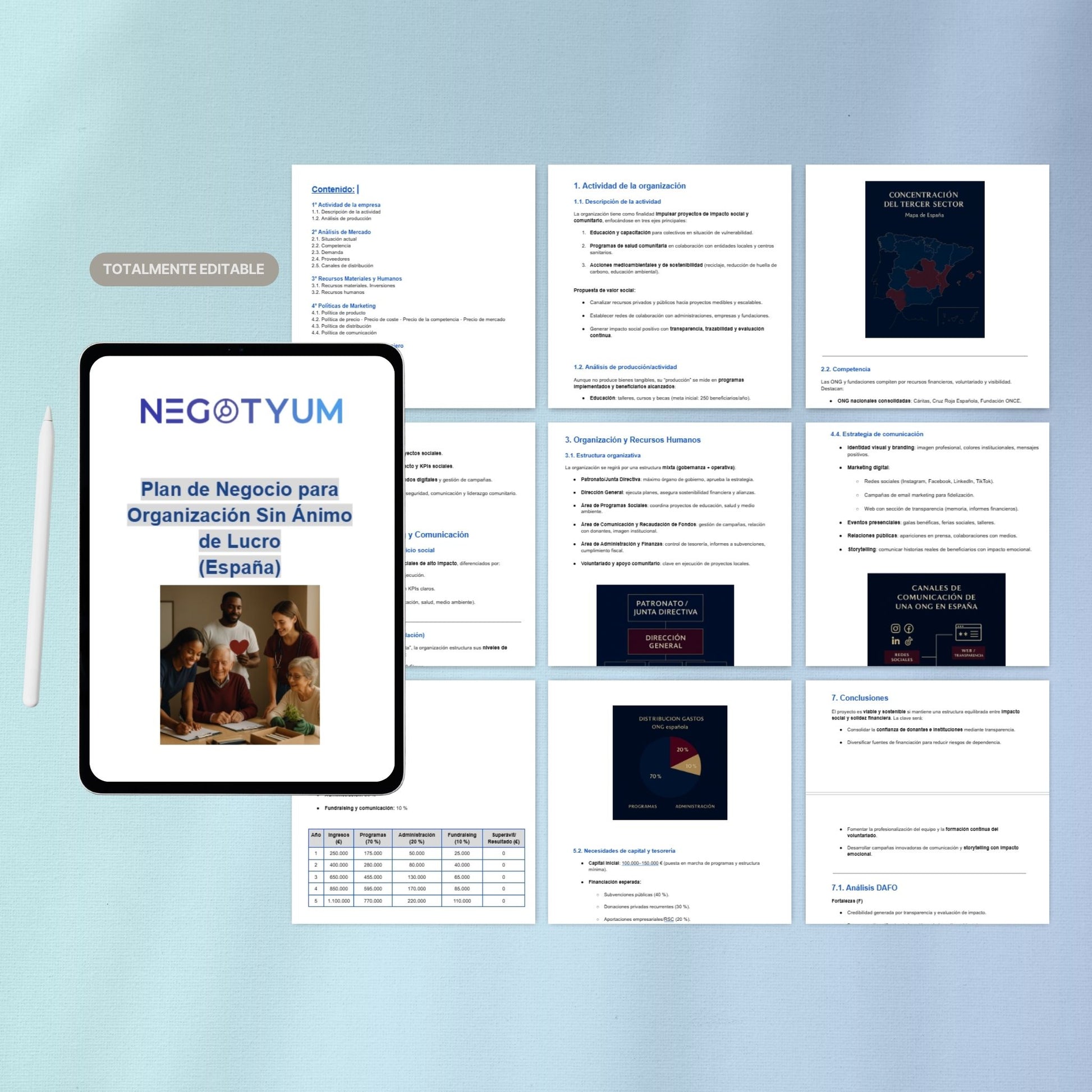 Organización Sin Ánimo de Lucro - Plan de Negocio