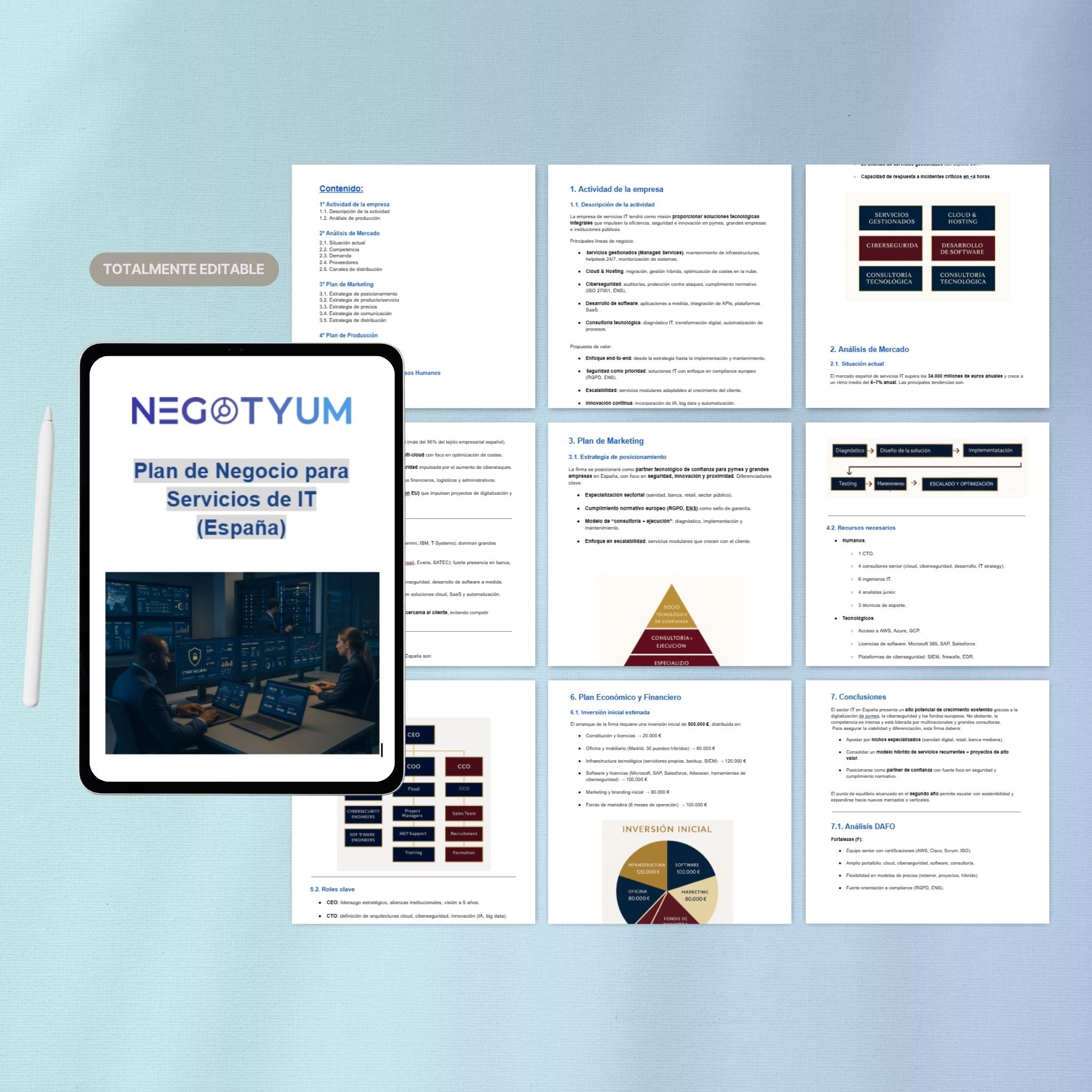 Servicios de IT - Plan de Negocio
