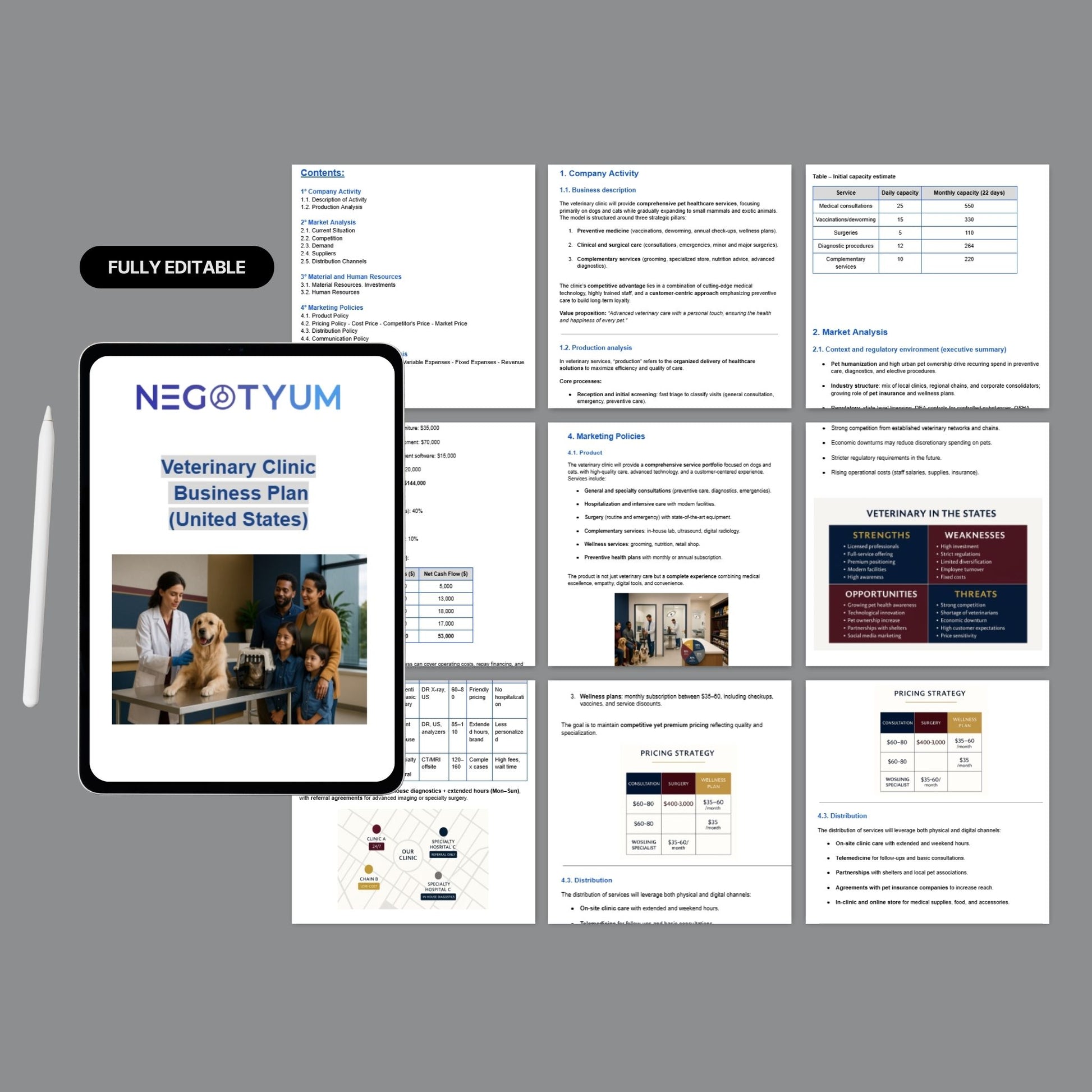 Veterinary Clinic Business Plan Template – Editable Word & Excel